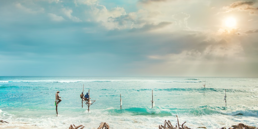 Ocean Bliss Travel tour