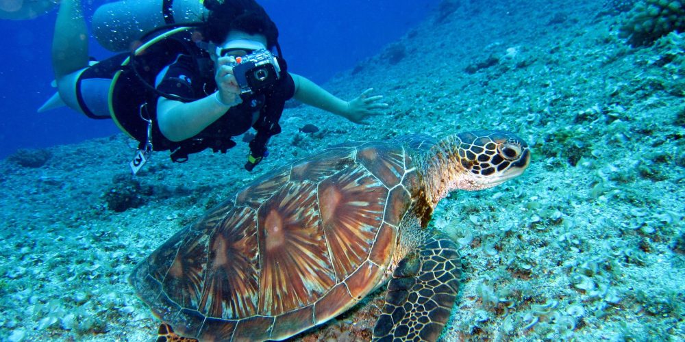 Scuba Diving